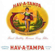 HAV-A-TAMPA