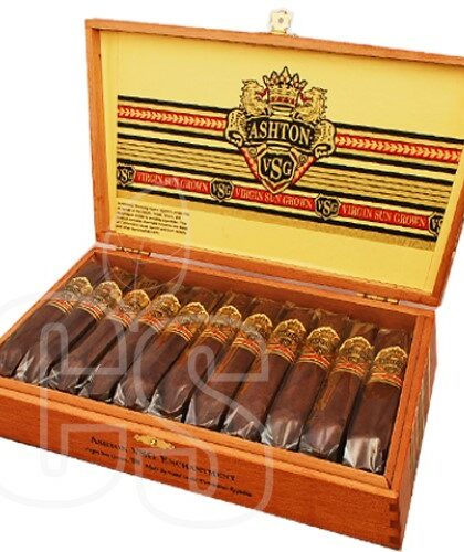 ASHTON VSG ENCHANTMENT